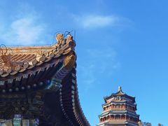 -颐和园