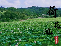 -红山村