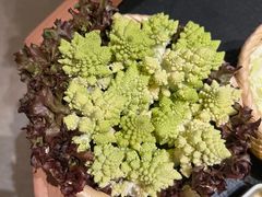-大龙燚·旷野鲜火锅(广州首店)