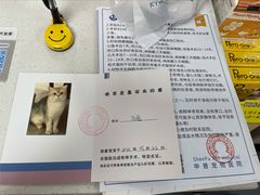 -申普宠物医院·心脏介入·心血管微创(总院)