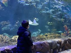 -华夏文旅海洋公园