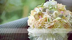 -新锦江大酒店·宴会厅·婚宴