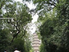 -灵谷景区