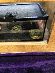 -Zoolung Zoolung动物主题公园(海信广场店)