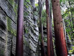 -梭布垭石林景区