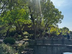 -韩湘水博园