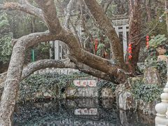 -蝴蝶泉公园