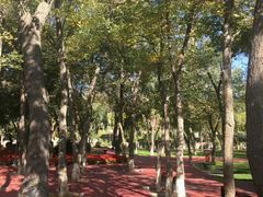 -水上乐园·欢乐世界