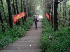 -东白山