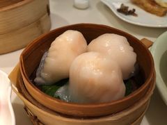 -唐茶苑(Soho)