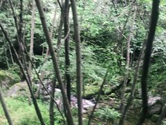 -牛背梁国家森林公园