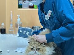 -联合动物医院(光谷诊疗中心)