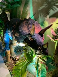 -恐龙探索乐园(磁器口店)