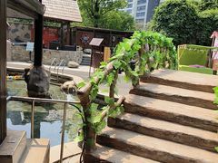 -裕龙汤泉