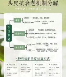 -木北造型