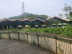 -西湖风景区-江洋畈生态公园