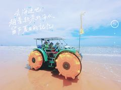-日照海滨国家森林公园