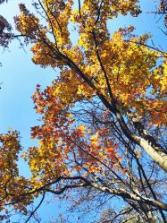 -中国科学院昆明植物研究所植物医生研发中心产品体验馆