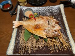 喉黑鱼-神奈川·小京
