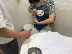 -联萌宠物医院(猫病专科)