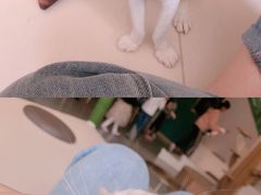 -飞行喵MR PILOT|猫舍·猫咖(静安大融城店)