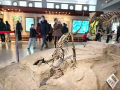 -自贡恐龙博物馆