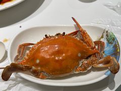-大锅强·蒸海鲜青岛菜(金沙滩店)