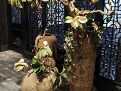 -鼓楼东街老火锅(鼓楼店)
