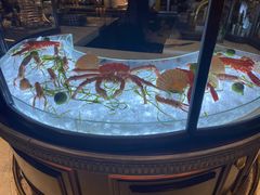 -壳里西餐厅Coquille Seafood Bistro(蒙自路店)