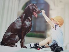-爱派特动物医院·全科诊疗中心