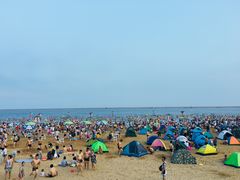 -碧海金沙