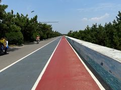 -日照海滨国家森林公园