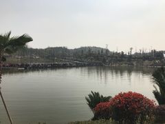 -枫香湖儿童公园