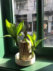 -595barbershop美式油头