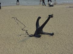 -南戴河国际娱乐中心