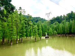 -广州市帽峰山景区