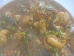 -全乐鱼馆·淳牌有机鱼直营店