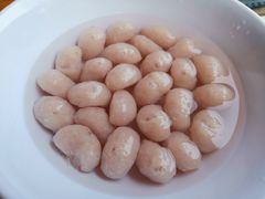 -章记正宗南岗鱼蛋火锅