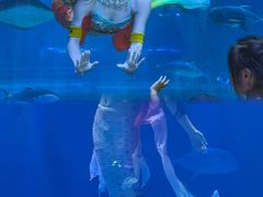 -华夏文旅西安度假区