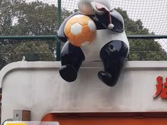 -新江湾城公园