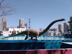 -昆明动物园