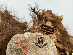 -大槐树寻根祭祖园