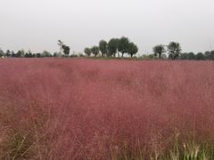 -汉长安城未央宫国家考古遗址公园