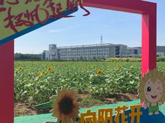 -南京信息职业技术学院