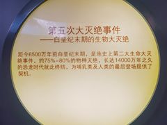 -安徽省地质博物馆