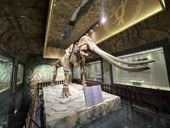 -白帝城·瞿塘峡景区