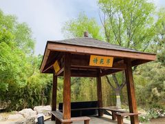 -大兴滨河森林公园