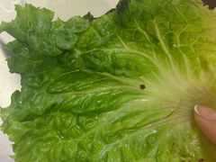 -松明一烤肉馆(鲁园店)
