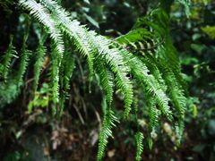 -赤水丹霞旅游区·佛光岩