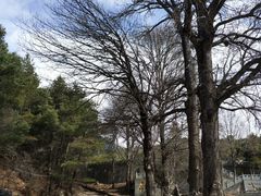 -康定跑马山风景区